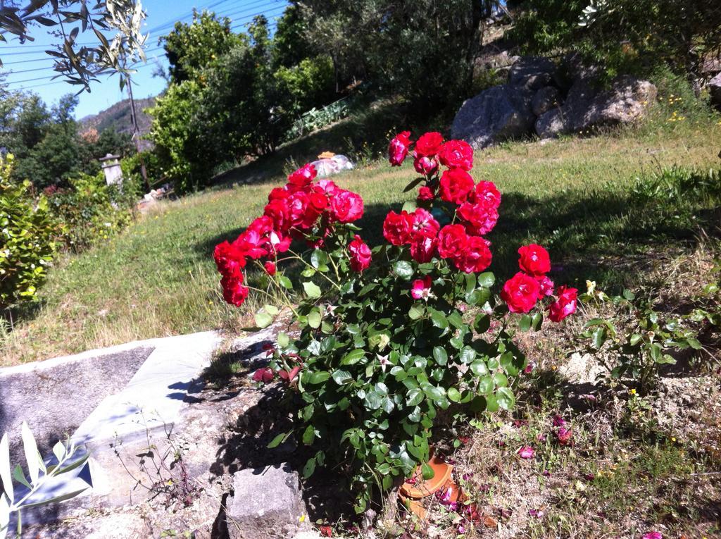 Al Vivenda Romantica Geres Dış mekan fotoğraf